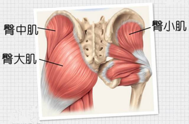快快唤醒你的臀肌!
