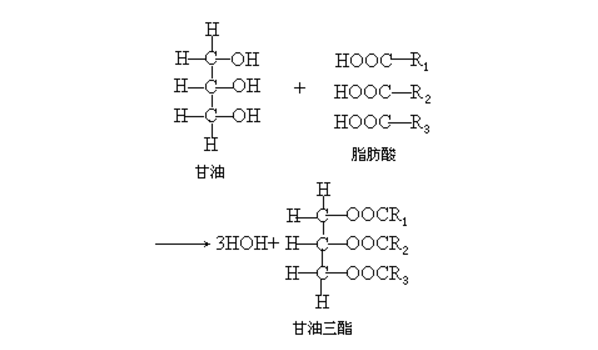 脂肪又称甘油三酯,由一分子甘油和三个脂肪酸缩合而成.