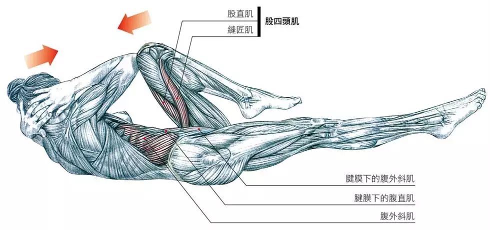 助你塑形的腹直肌运动