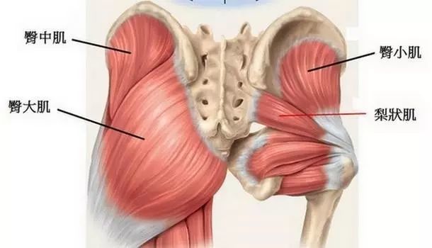 6 招让你的胯部充满动力,跑得更轻松