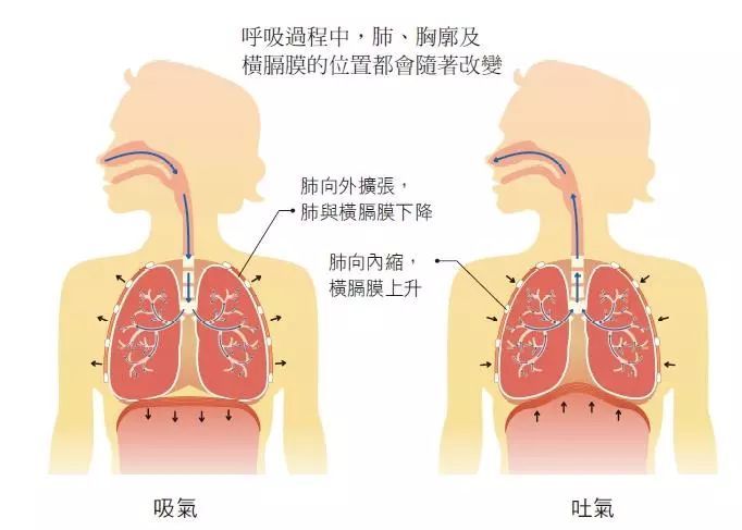 用呼吸调节身体与情绪 - 陪你跑 - 运动装备专家