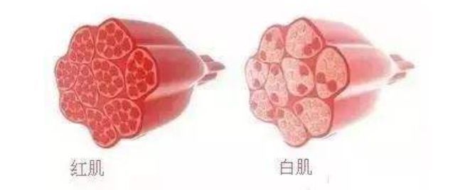 想破pb? 请先排除这 4 种心理障碍