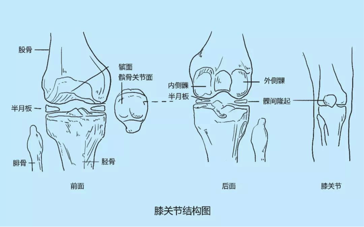 和骑行时姿势不正确,或者是运动过量,膝盖就会出现各种问题:髌骨磨损