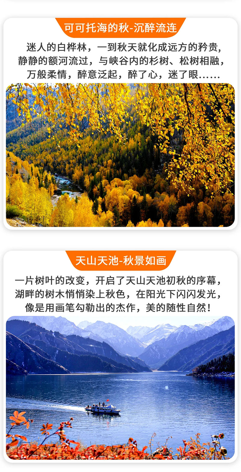f6e433506aebe67dd9f4e57a83073b10-sz_12726151.webp_03.jpg