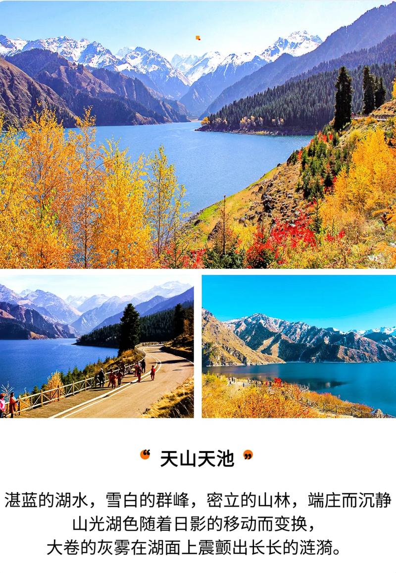 231faf8ecc86a21b8c9c36e7549c21d7-sz_4010932.webp (1).jpg