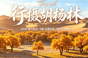 2026【行摄胡杨林】银川集合| 额济纳胡杨+镇北堡影视城+西夏陵+五湖连穿+腾格里沙漠6日活动