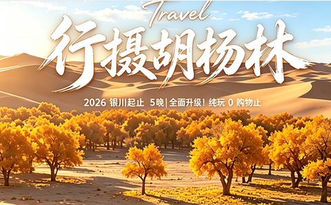2026【行摄胡杨林】银川集合| 额济纳胡杨+镇北堡影视城+西夏陵+五湖连穿+腾格里沙漠6日活动