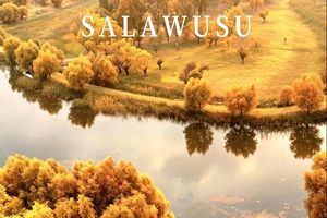 【徒步赏景】行走晋陕·黄土秘境徒步5日，看黄土连绵，大河婉转，峡谷藏秘境，风过沟壑叙千年，用脚步丈量秦晋大地