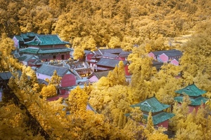 【金色武当】10月24日出发，赏天下第一仙山，观金顶云海、紫霄宫红墙银杏、南岩悬宫彩叶二日游