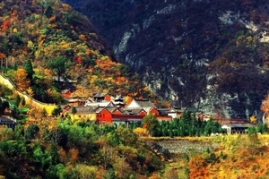 【金色武当】10月24日出发，赏天下第一仙山，观金顶云海、紫霄宫红墙银杏、南岩悬宫彩叶二日游