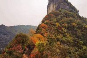 【11月7—8号】探秘咬草岩古官道+登鸡公岩、邂逅多彩秋色、采蜜柚二日游活动