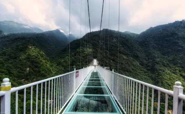 【五一假期】湖南莽山雲海杜鵑花 雲門山玻璃橋