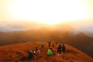 【夜登湖南八面山】离天三尺三！穿越原始森林，海拔2042米山丘草甸