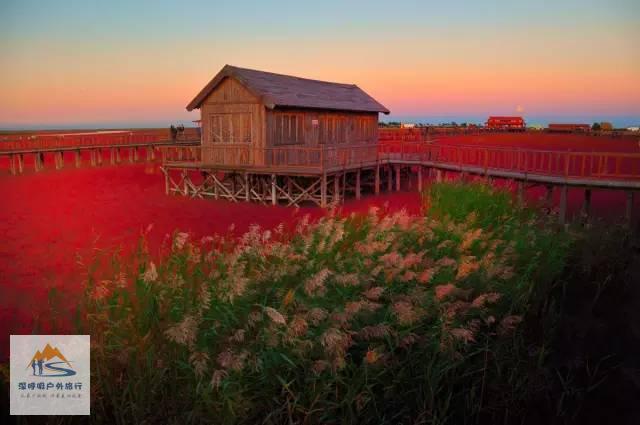 色彩之旅,享受视觉的饕餮盛宴