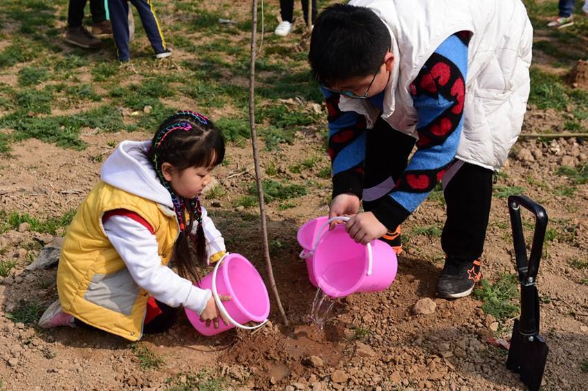 320亲子植树│春天是种出来的植树节限定亲子活动