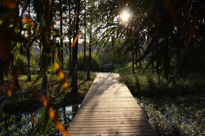 漁舟灣溼地公園welcome