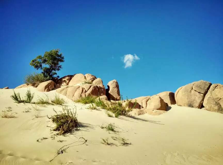 12-14日·沙漠草原双穿越·骑马射箭·草原驰骋·勃隆克沙漠