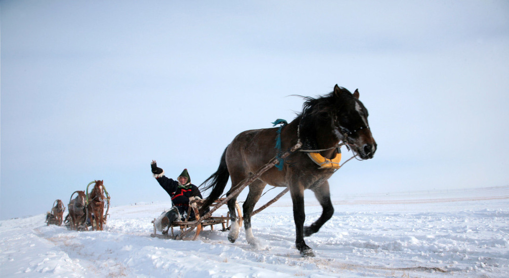 景区内度假酒店,随后大家将乘坐马拉爬犁沿着谷中雪道进入林海雪原,不