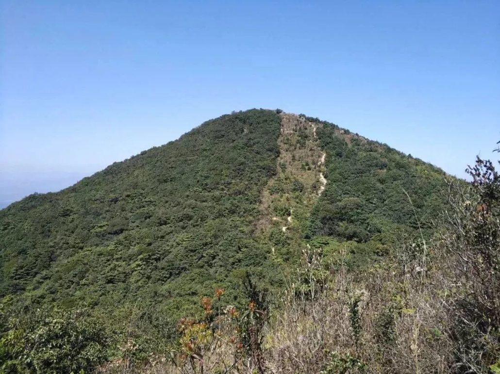 【哈巴雪山训练营】拉练第三站,挑战夜路传说32个山头,惠州四方山搞起