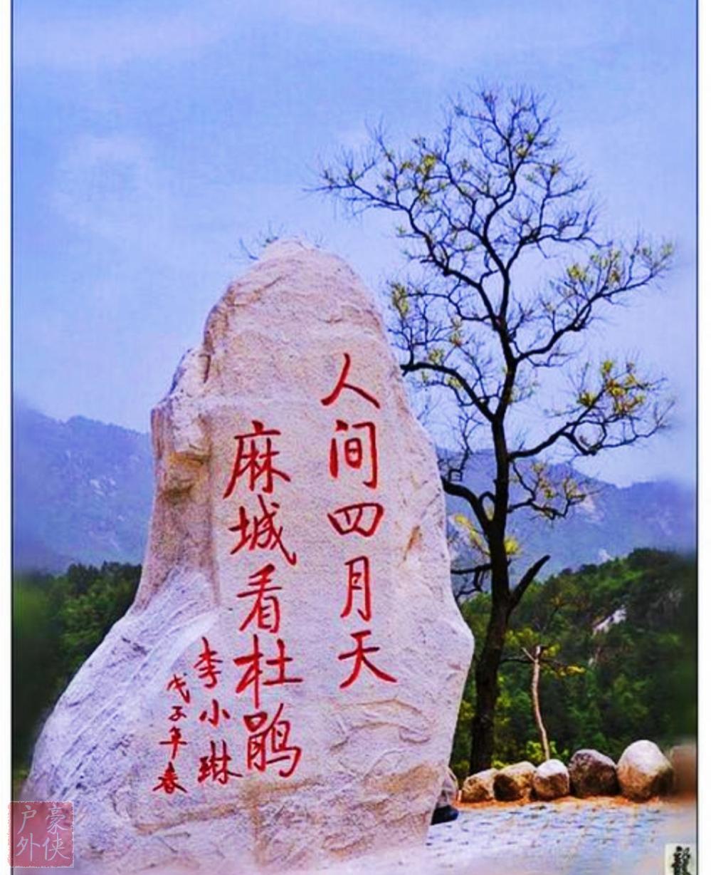 4月25日人间四月天麻城看杜鹃龟峰山自驾徒步赏花一日行