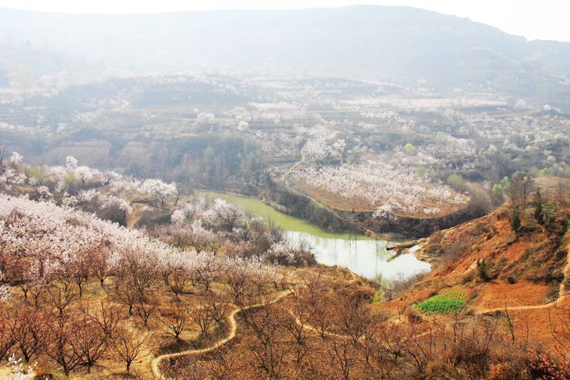 騎行穿越 白鹿塬隔水相望,東和洩湖鎮毗鄰,西與灞橋區洪慶鎮接壤,南與