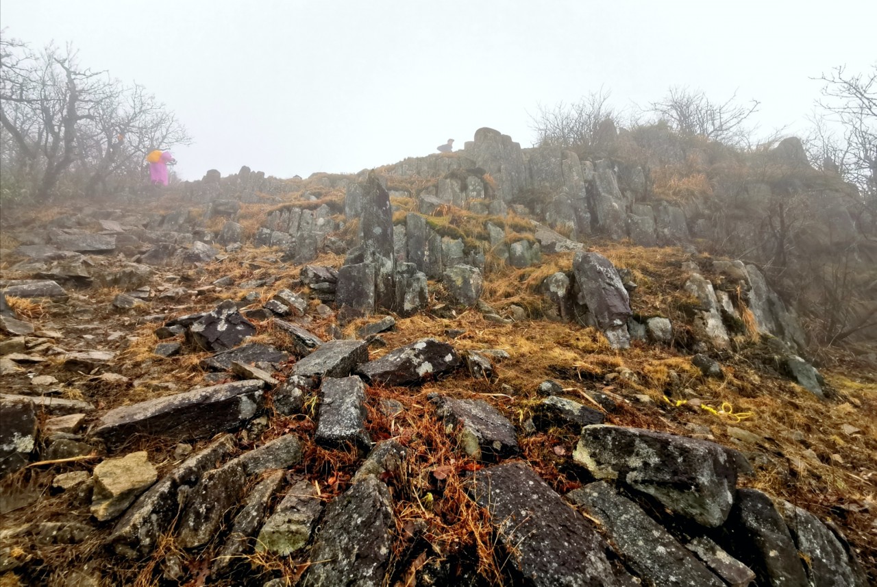 药王峰作为第三尖,又名节理峰,山路中岩石众多,从药王峰下来去往千亩