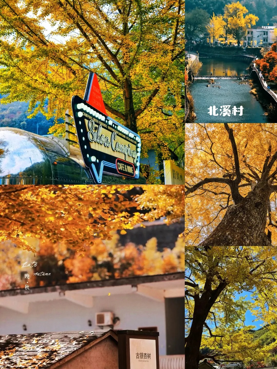 四明山自驾攻略｜浙东最美盘山公路 秋日童话_16_一起去玩吖_来自小红书网页版.jpg