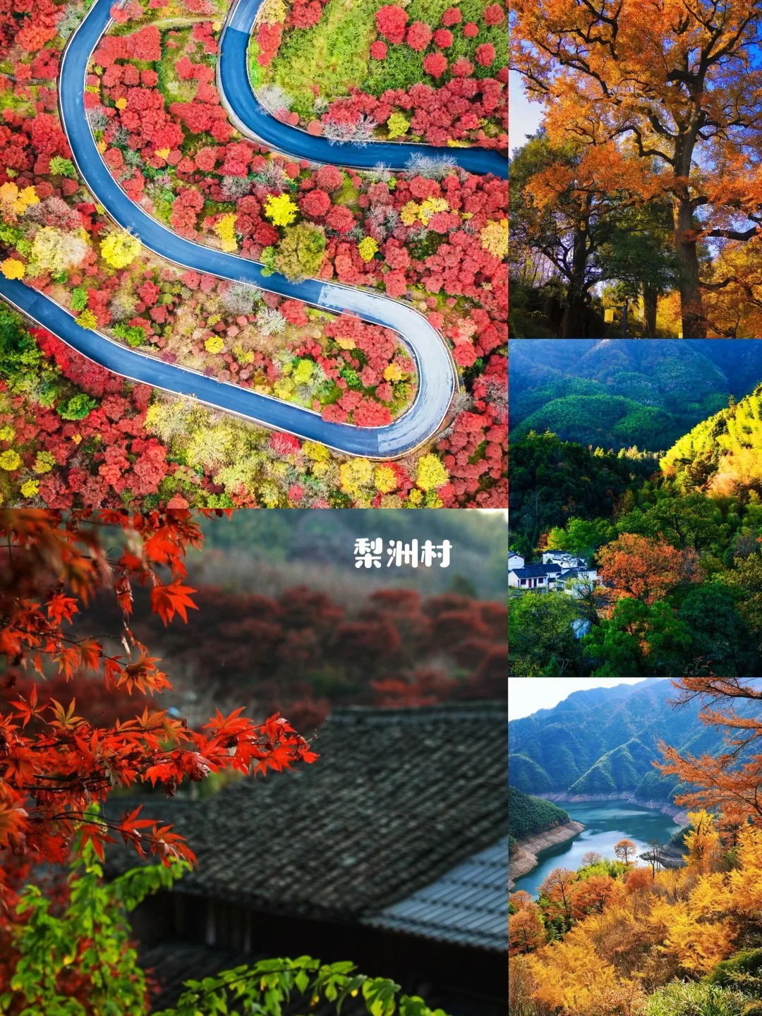 四明山自驾攻略｜浙东最美盘山公路 秋日童话_15_一起去玩吖_来自小红书网页版.jpg