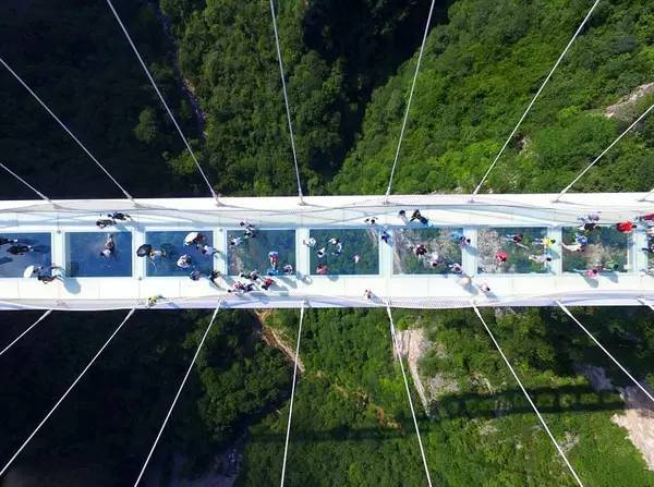 高峰森林公园玻璃桥图片