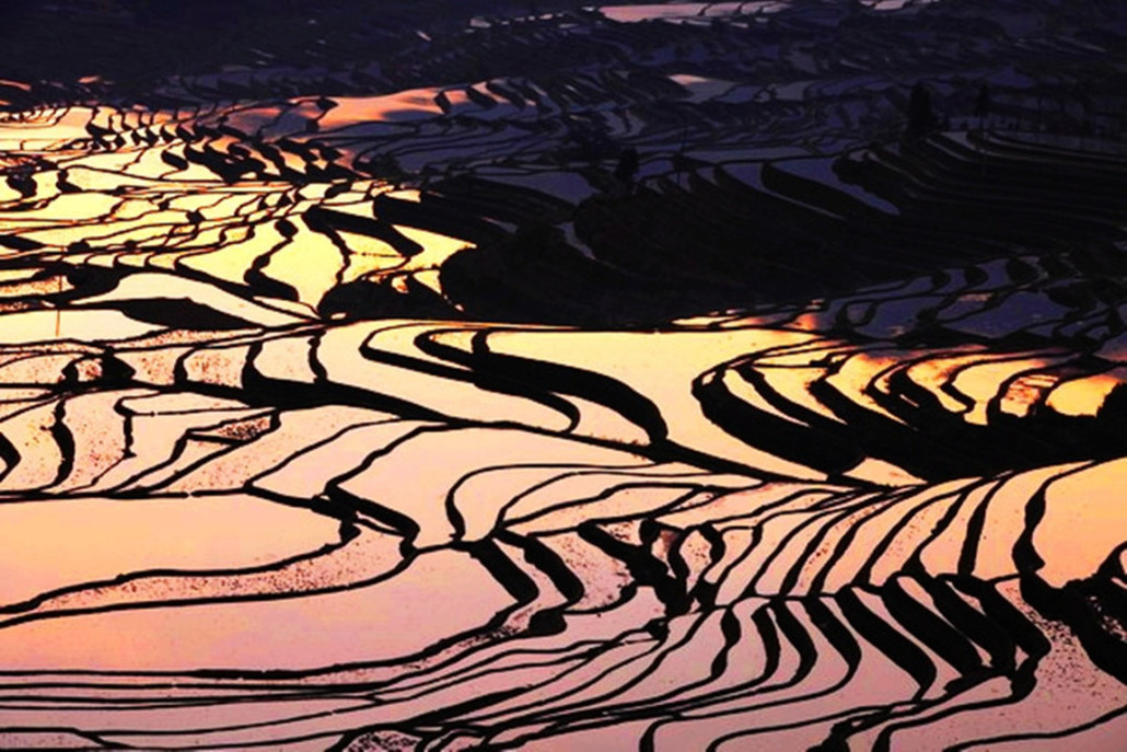 【2020年滇东南之春】元阳梯田,建水古城,碧色寨,普者黑,罗平油菜花