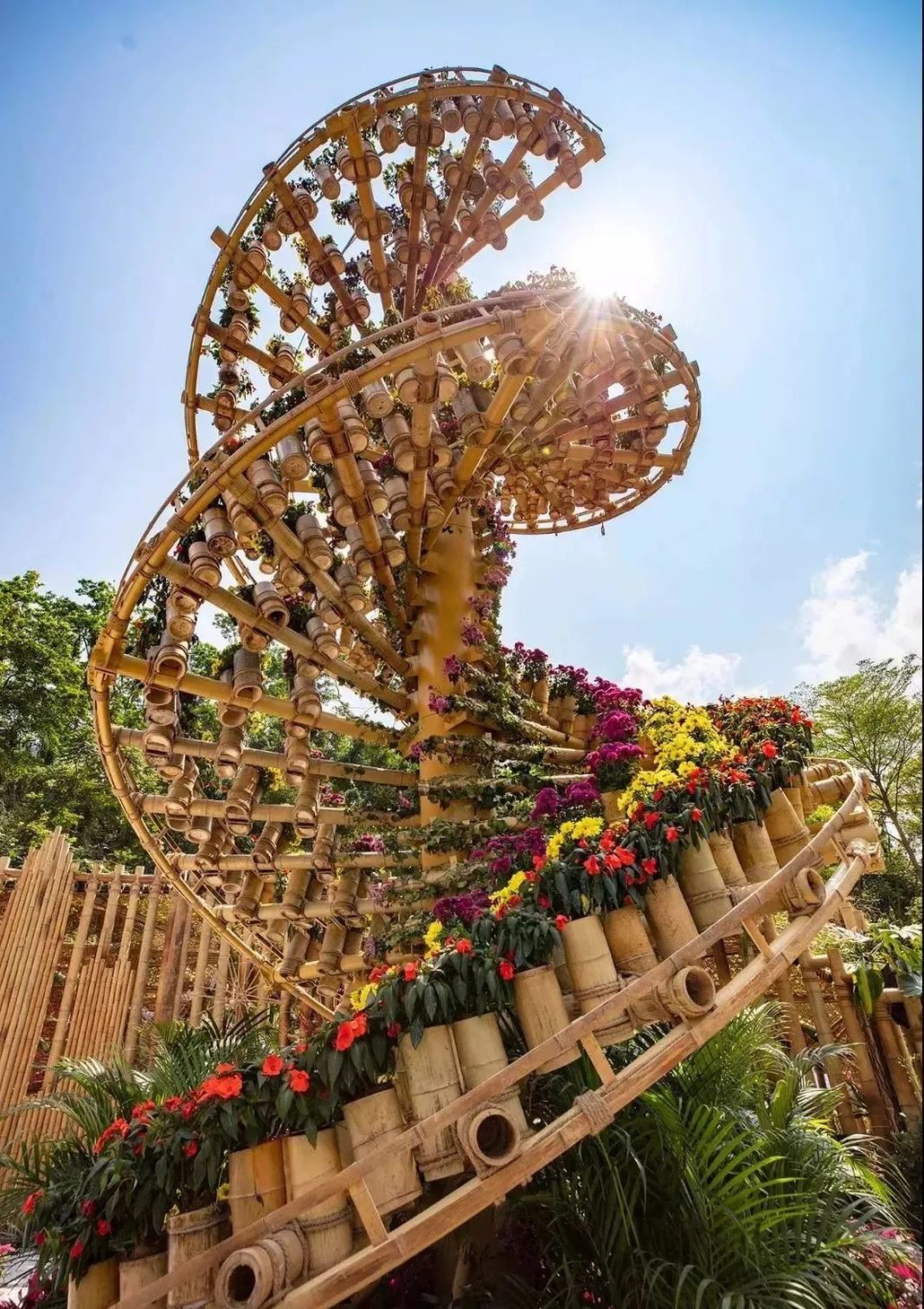 【赏花休闲】3月30日,粤港澳大湾区深圳花展—花境展震撼来袭,赏花好