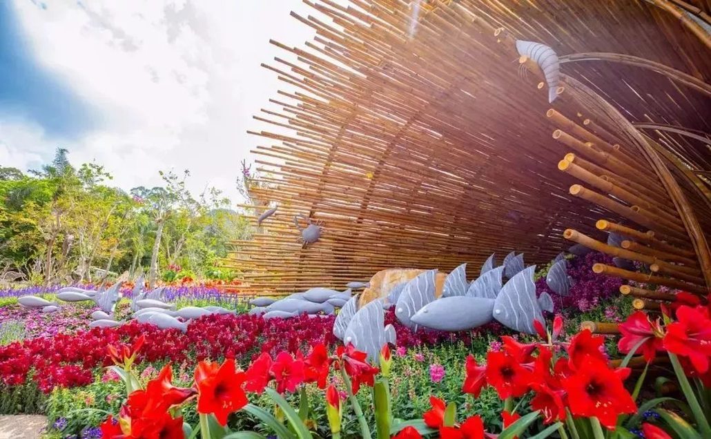 【赏花休闲】3月30日,粤港澳大湾区深圳花展—花境展震撼来袭,赏花好