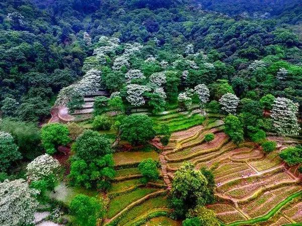 广州二龙山景区位于广州增城区邓山村,占地面积7000亩,园区规划按照其