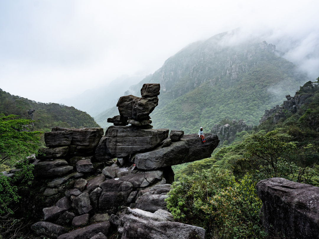 _DSC1315.jpg