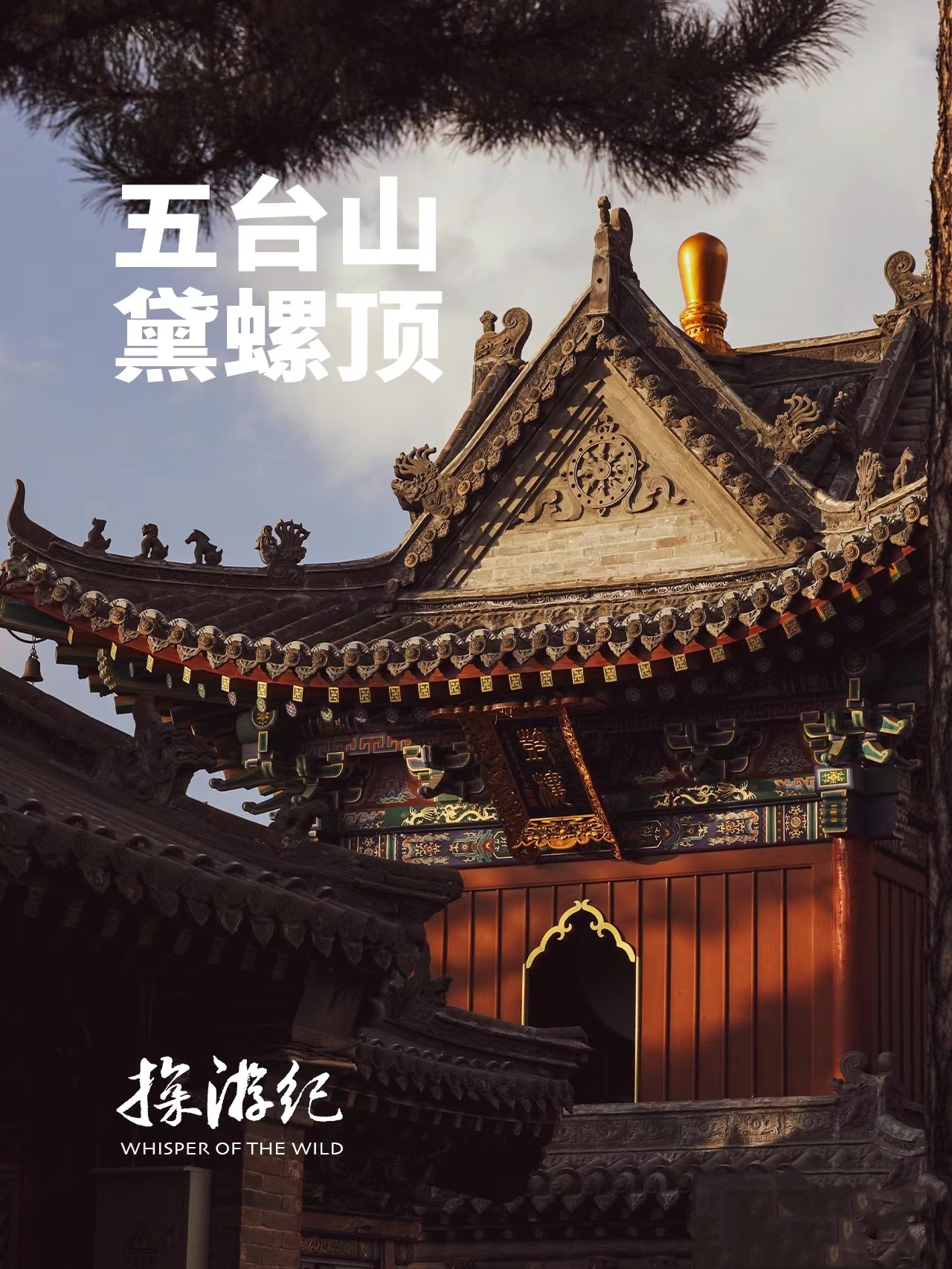 微信图片_20240324180220.jpg