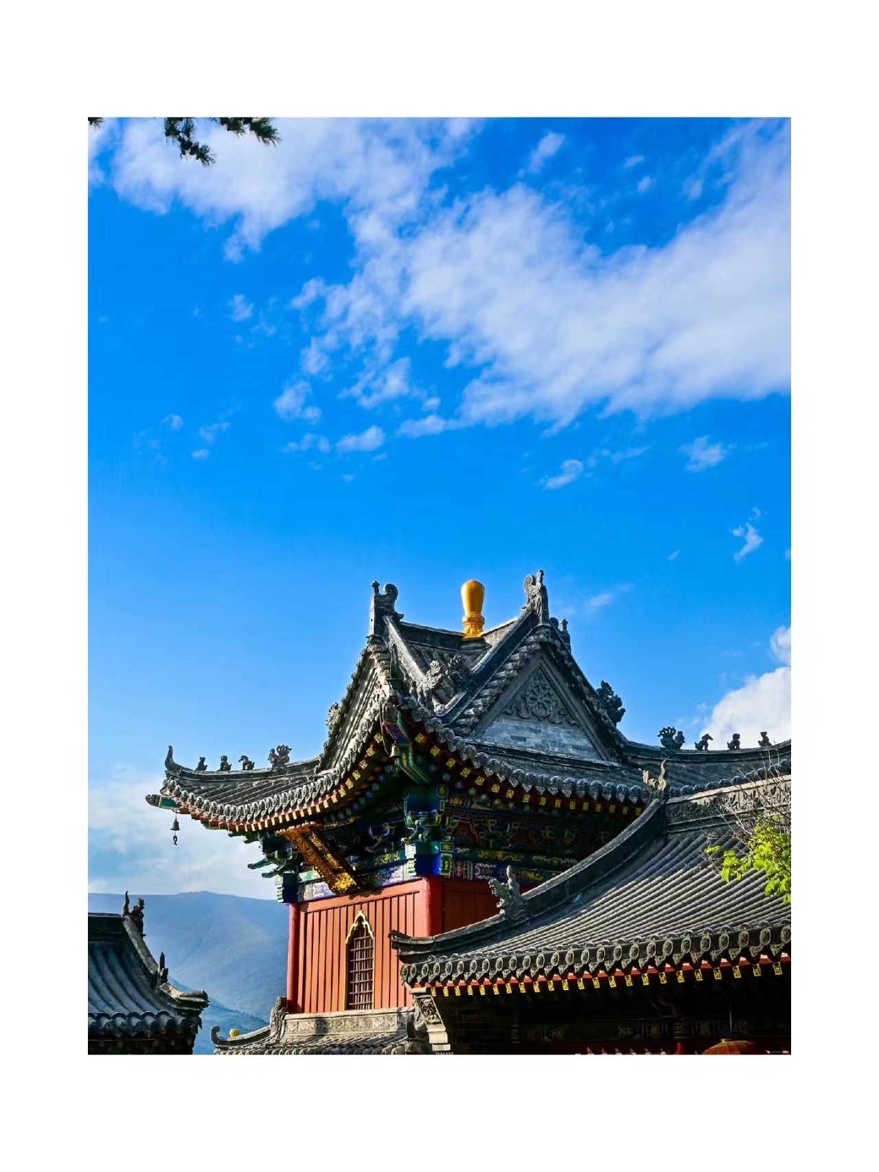微信图片_20240324180628.jpg