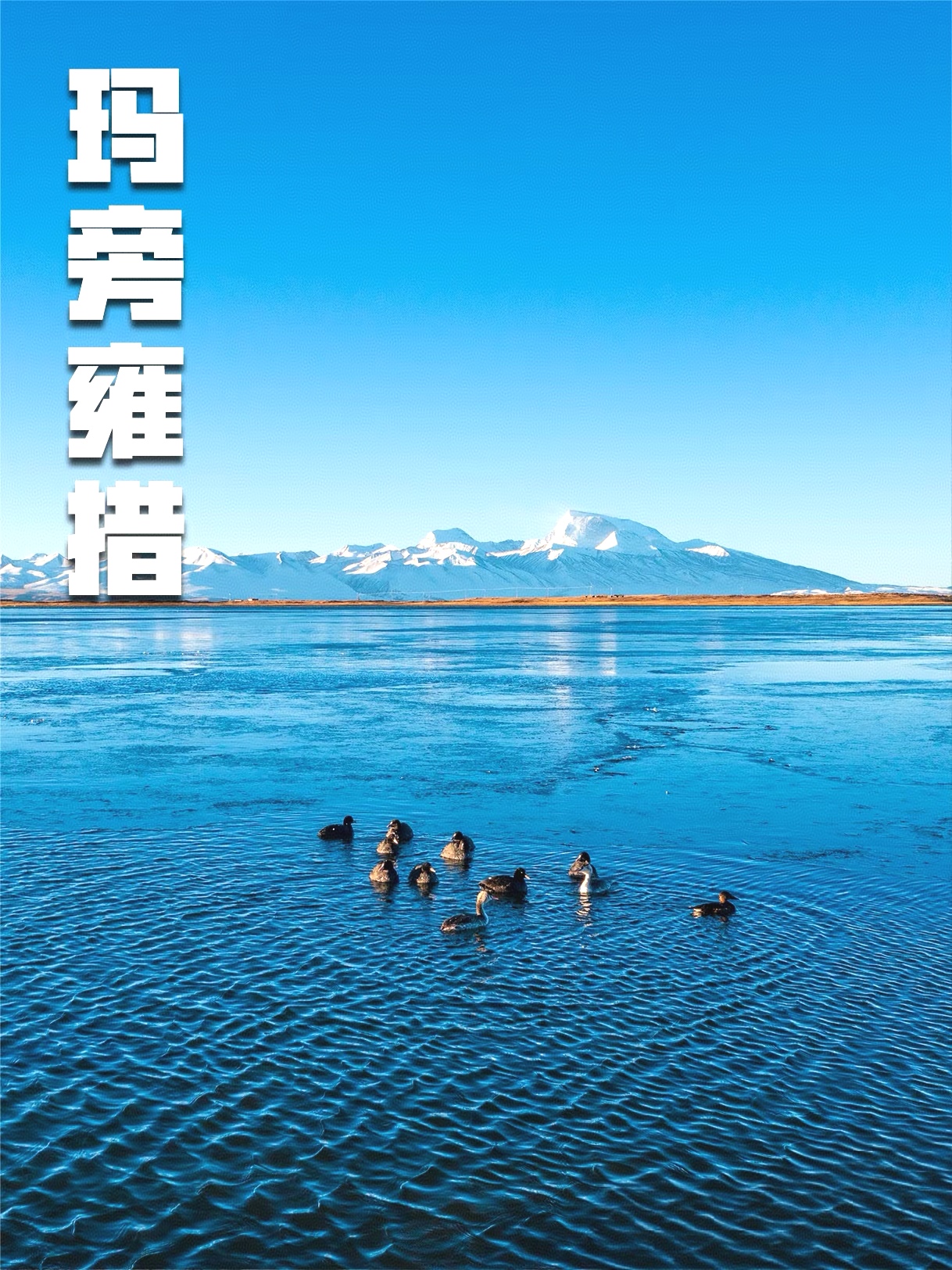 微信图片_20250726162633.jpg