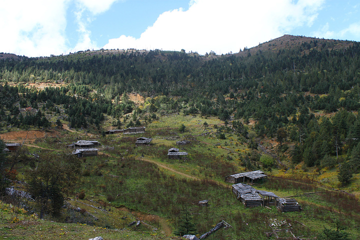c4848991b4073a.jpg_r_720x480x95_cea23dbd.jpg