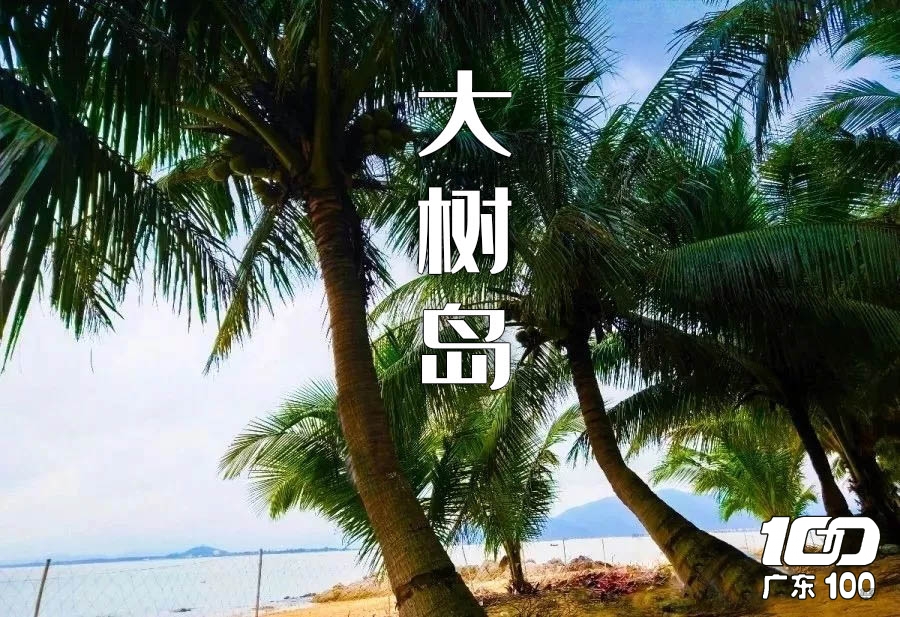微信图片_20210910154244-编辑.jpg