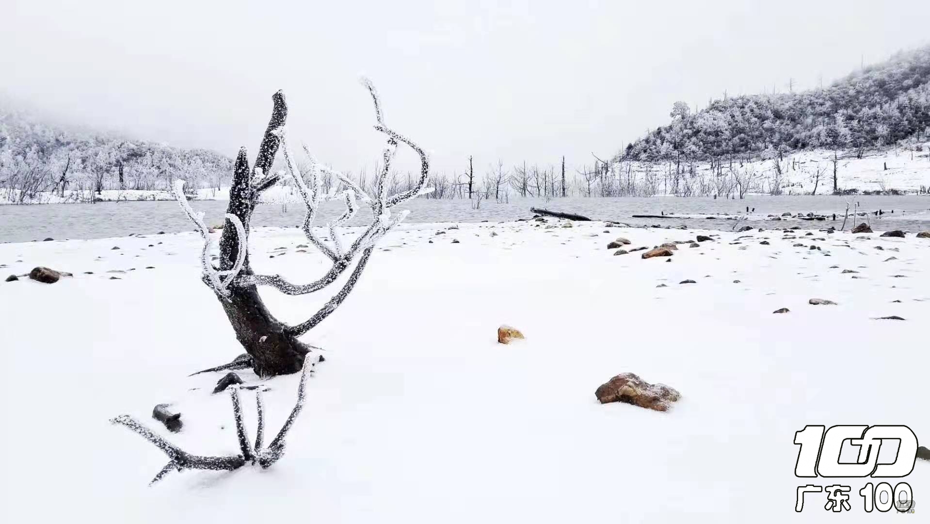 微信图片_20211217212123.jpg