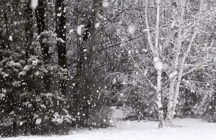 18804f84-69df-4748-81d7-60b2f6e38495.gif