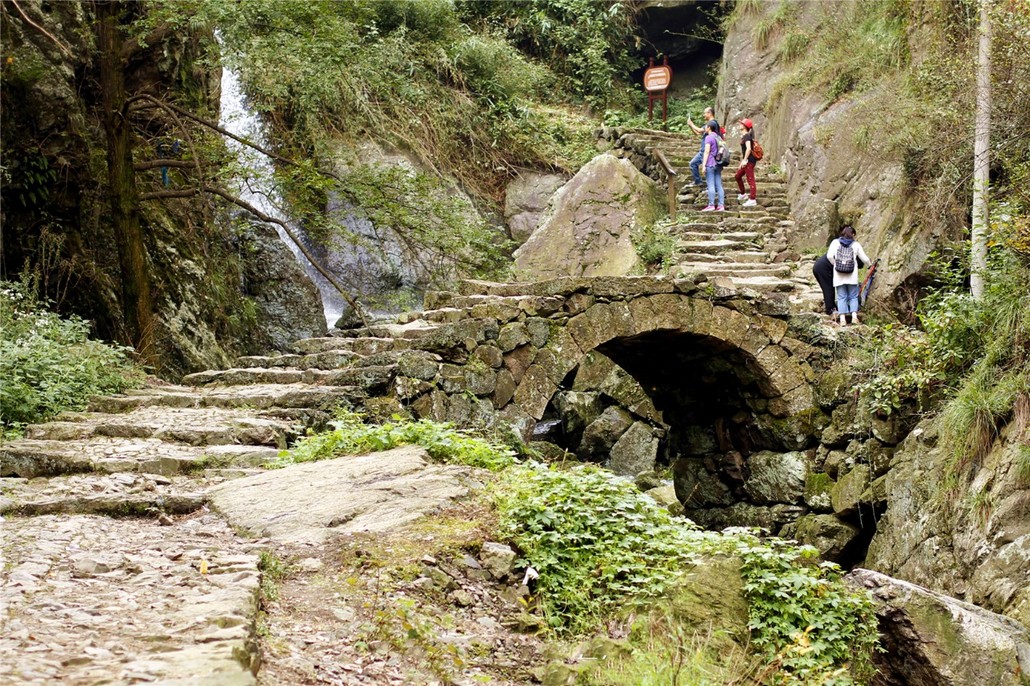 「秋色·雪窦岭」11.16 稽东秘境,雪窦岭古道清幽,水杉林树影粲然