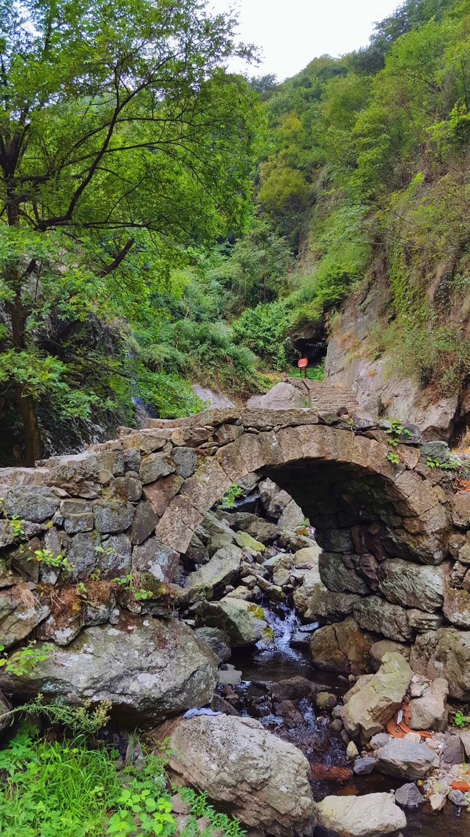 秋色雪窦岭1116稽东秘境雪窦岭古道清幽水杉林树影粲然