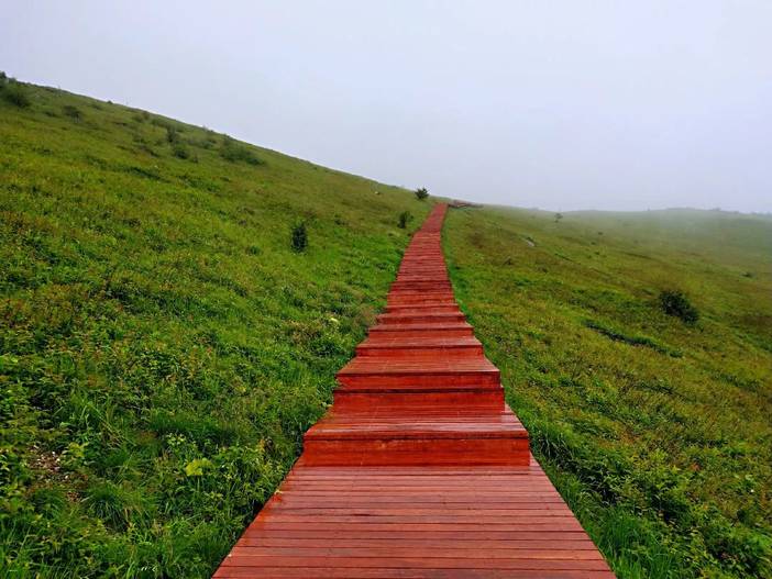 留坝紫柏山,留坝紫柏山住宿,留坝紫柏山图片_大山谷图库