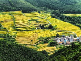 10.11成行【醉美赏秋1天】黑山梯田+万山朝王