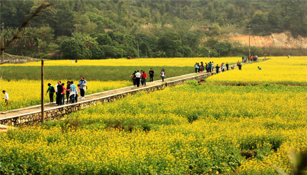 这是广州最美乡村——花都梯面红山村
