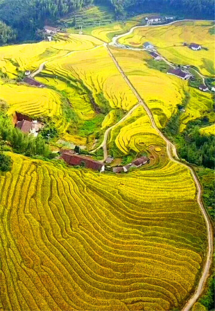 中秋/国庆【上堡梯田】 行摄最大的客家梯田,脚踏三省万时山,探访畲族