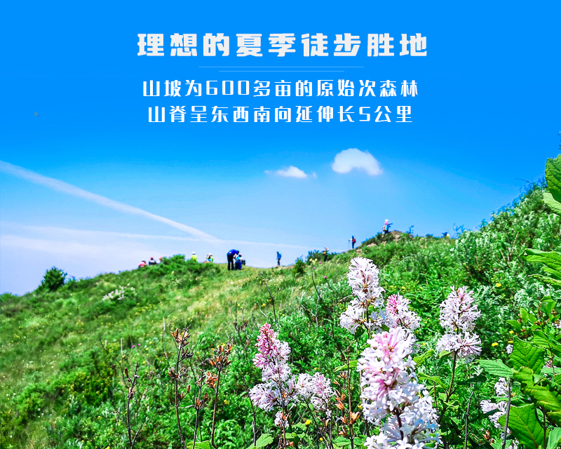 ★印象细图A3.jpg