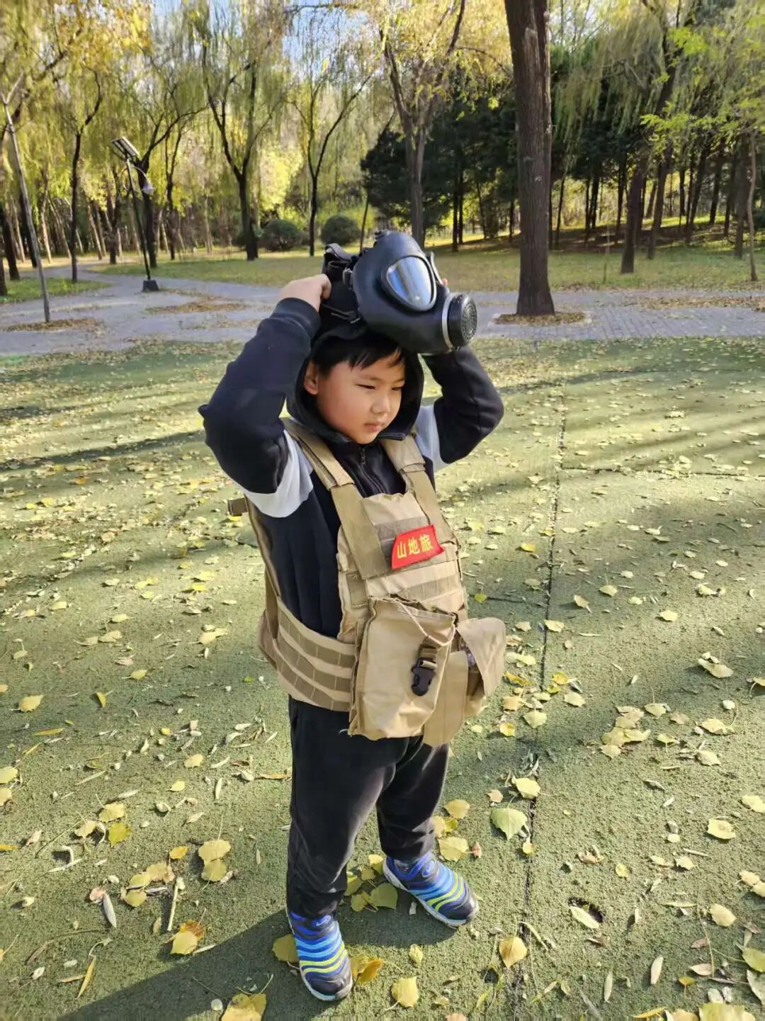 图片