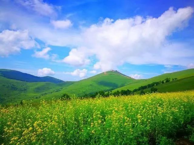 汗海梁位于崇礼县城东南侧海拔2065米垂直落差超过800米,主峰是个突起